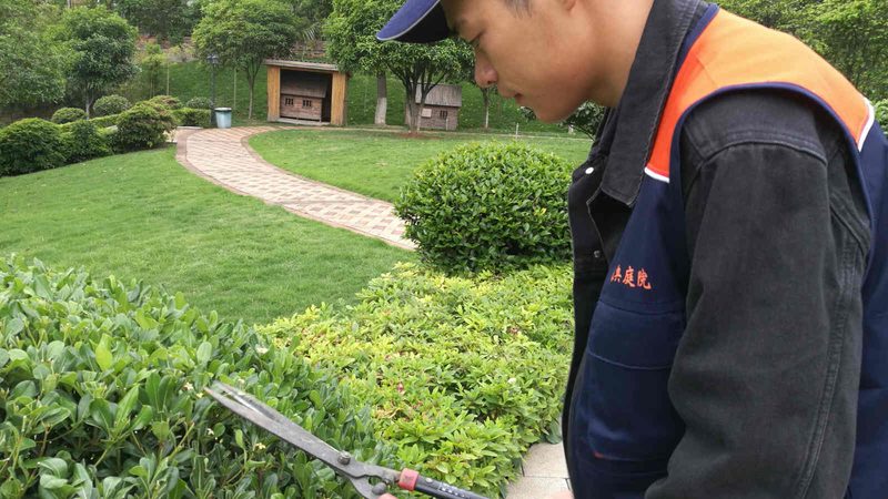 绿化苗木种植公司排名前十