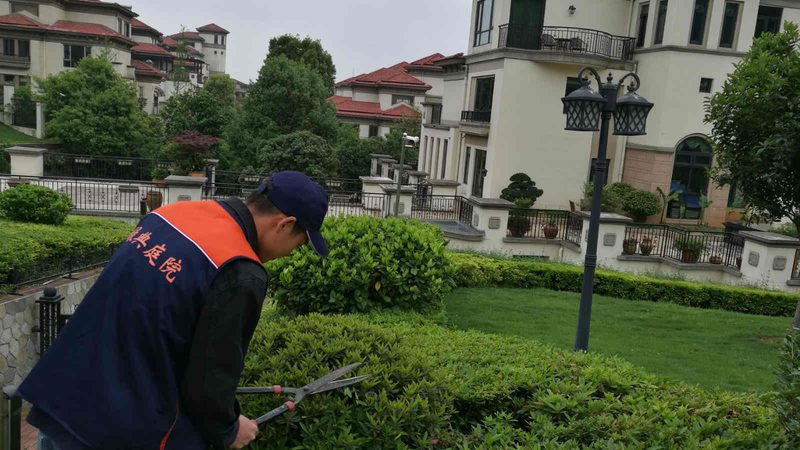景观工程报价单表格模板：关键要素与制作要点