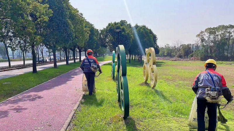 北方小区绿化耐寒植物