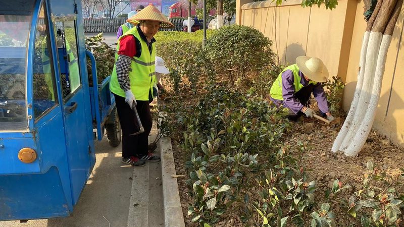 园林绿化养护管理方案：如何制定有效策略**