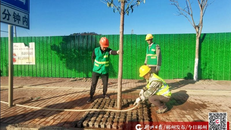 公园草坪养护承包合同违约责任条款解析**