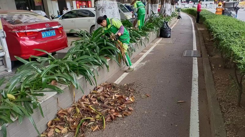 垂直绿化墙厚度参数解析：如何确保施工质量