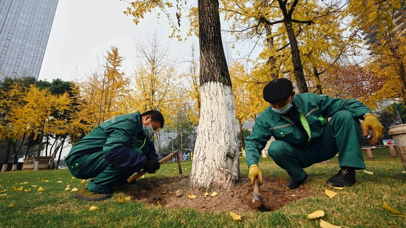 道路绿化喷灌系统定制：如何打造高效节水景观