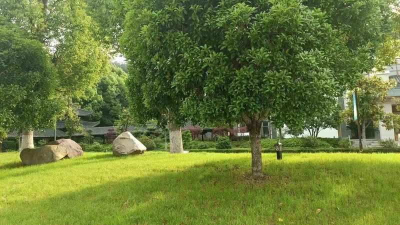 景观工程验收流程：确保绿化品质的关键步骤